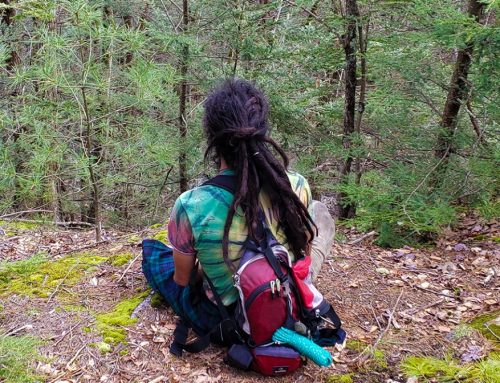 Backpack essentials for a day long hike